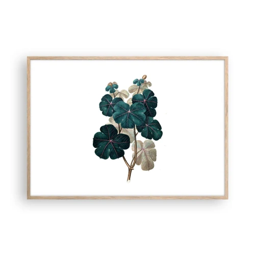Poster în ramă de stejar deschis - Dintr-un vechi ierbar - 100x70 cm