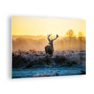 Tablou pe sticlă - Cerb într-o dimineață geroasă cu răsăritul soarelui în fundal - 70x50cm - Încoronat pe domeniul său - Decorațiune modernă pentru perete pentru living și dormitor ARTTOR