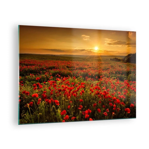 Tablou pe sticlă - Un câmp de maci iluminat de razele soarelui care apune - 70x50cm - Printre valuri de pajiști care zumzăie, printre potop de flori - Decorațiune modernă pentru perete pentru living și dormitor ARTTOR
