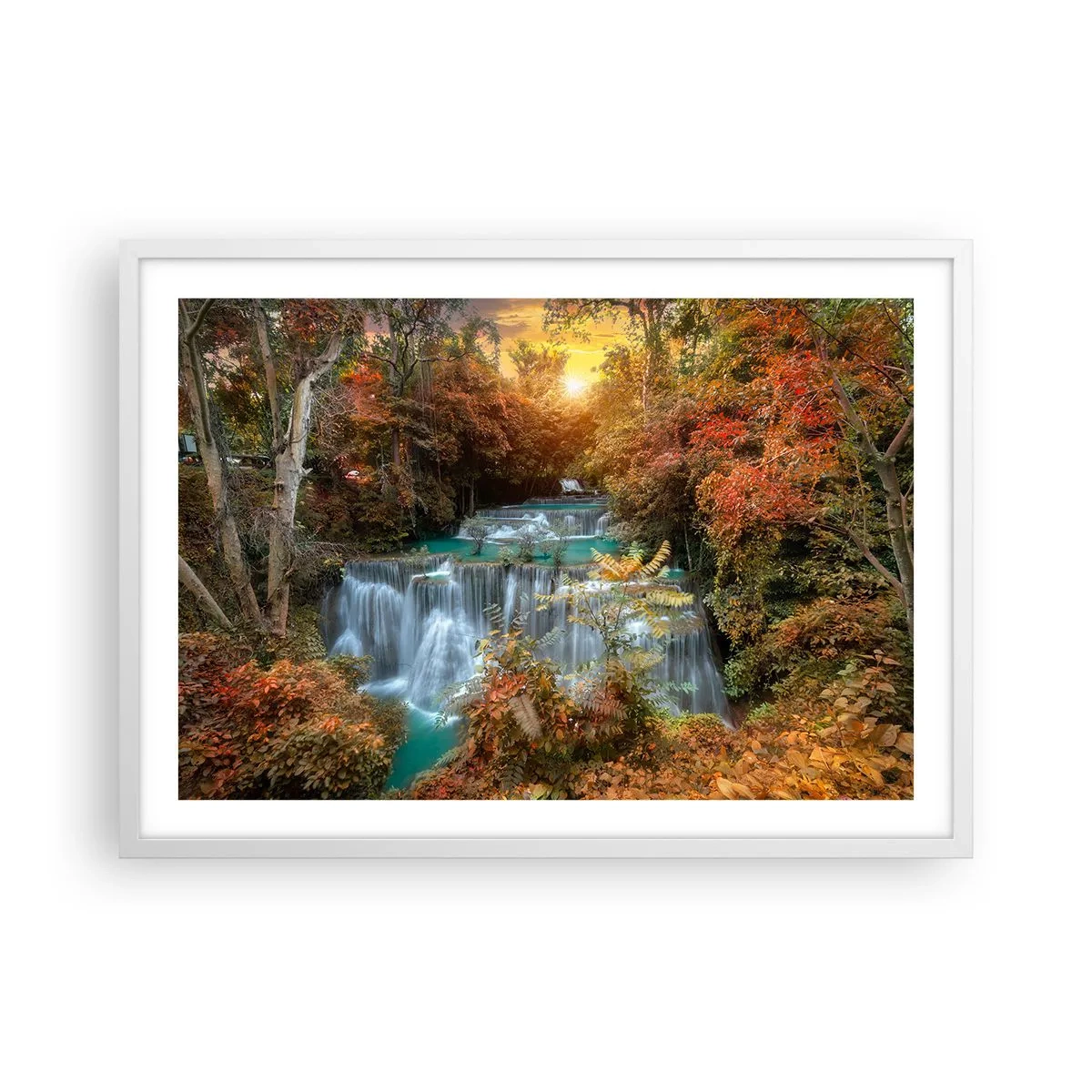 Poster în ramă albă - Comoara ascunsă a pădurii - 70x50 cm