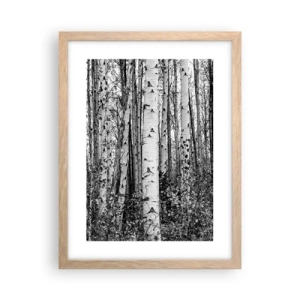 Poster în ramă de stejar deschis - Coloane de mesteacăn - 30x40 cm