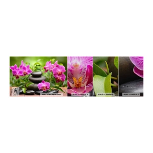 Mostră tapet Premium Sand - Piramida de liniște - Flori, Orhidee, Orhidee - 100x30 cm
