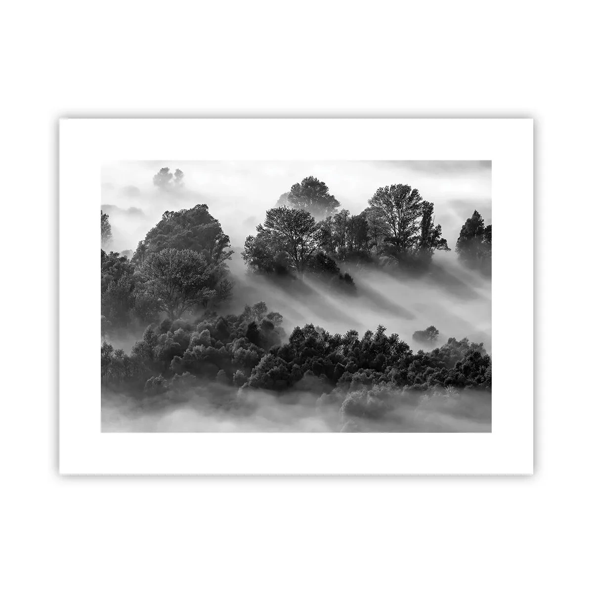 Poster - Trezindu-se din somn - 40x30 cm