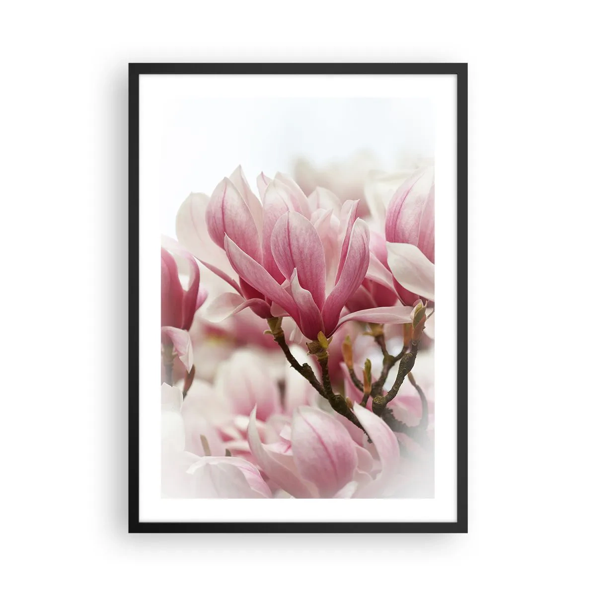 Poster în ramă neagră - Flori de primăvară - 50x70cm - Flori de primăvară - Decorațiune modernă pentru perete pentru living și dormitor ARTTOR