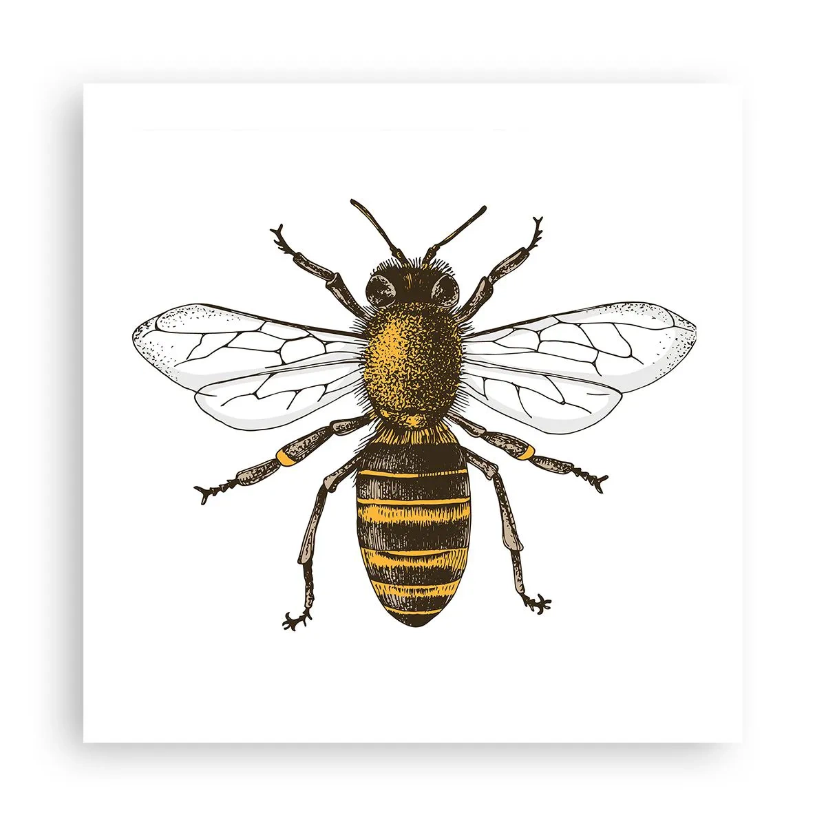 Poster - Frumoasă și bună - 50x50 cm