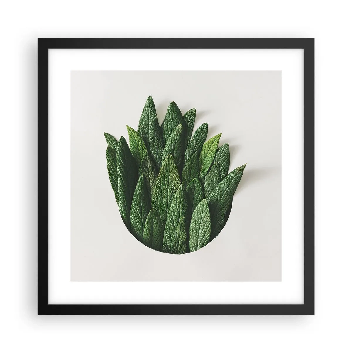 Poster în ramă neagră - Curiozitatea nestăvilită - 40x40 cm