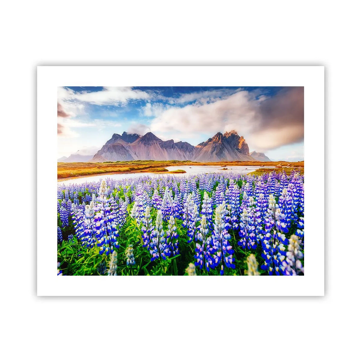 Poster - Putere și severitate alături de blândețe - 50x40 cm