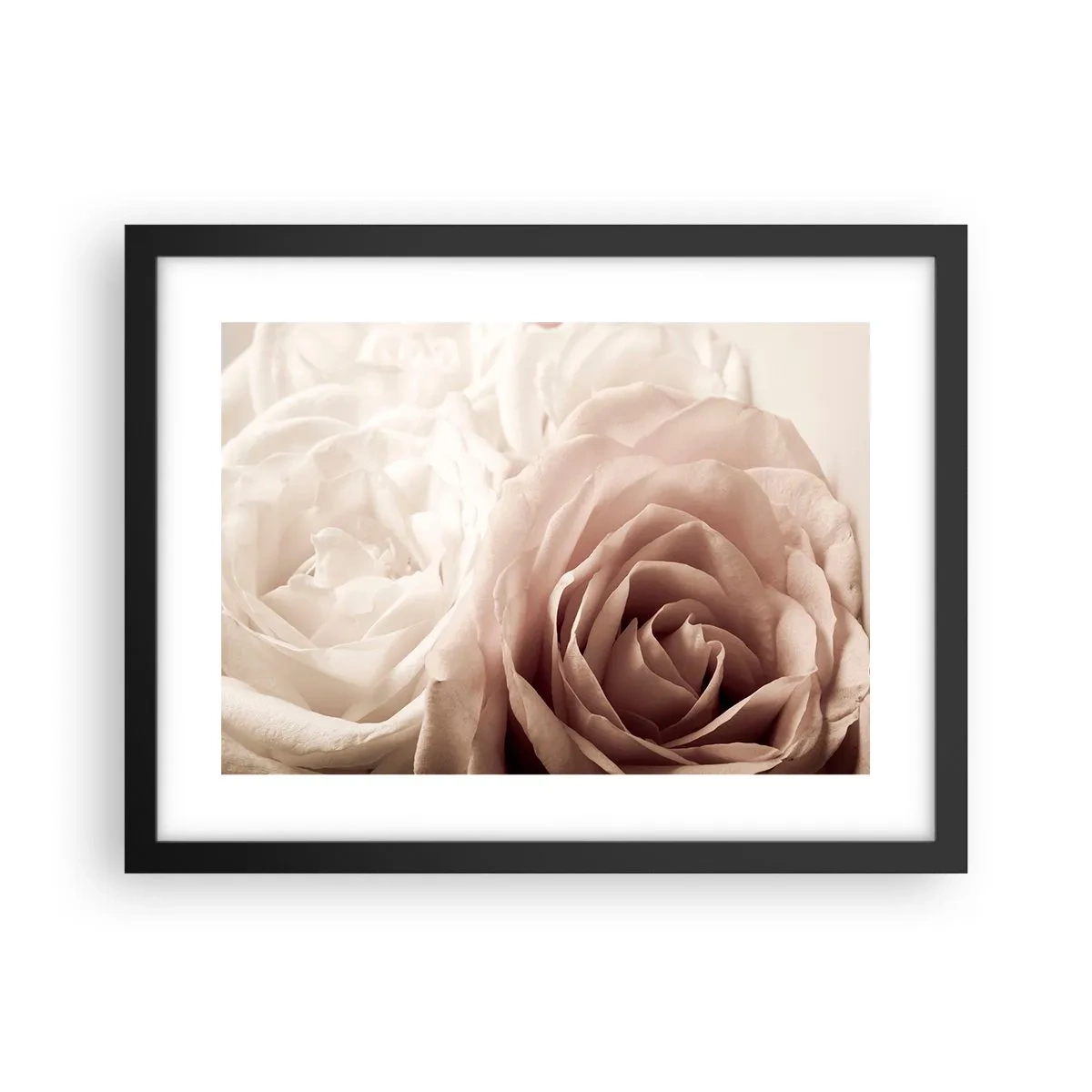 Poster în ramă neagră - În inima unui trandafir - 40x30 cm