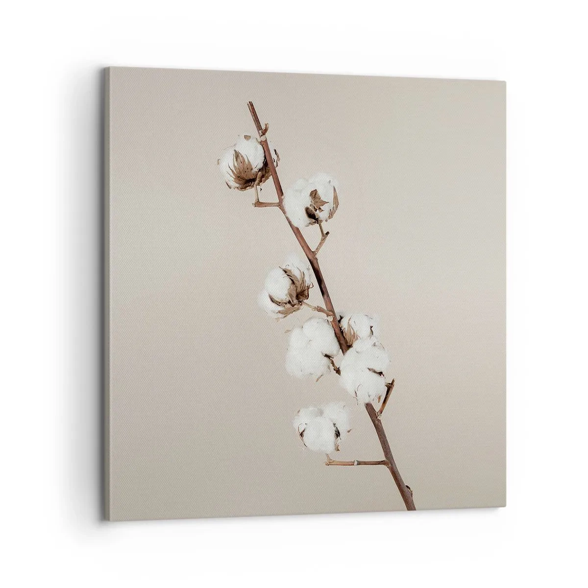 Tablou pe pânză - La sursa moliciunii - 60x60 cm