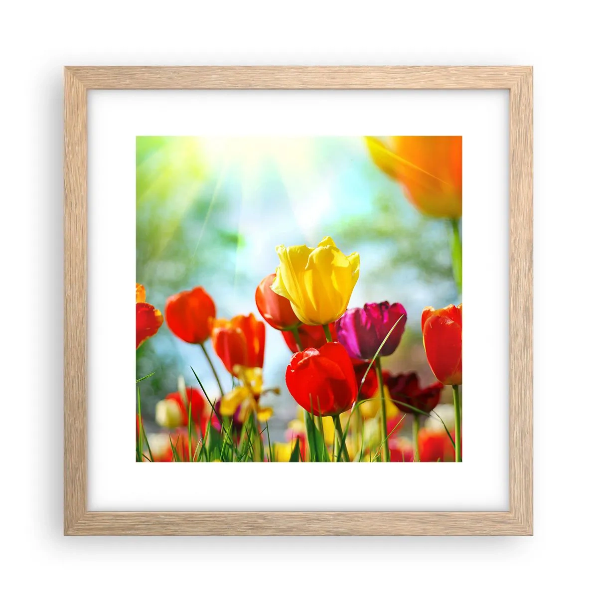 Poster în ramă de stejar deschis - Toate culorile soarelui - 30x30 cm