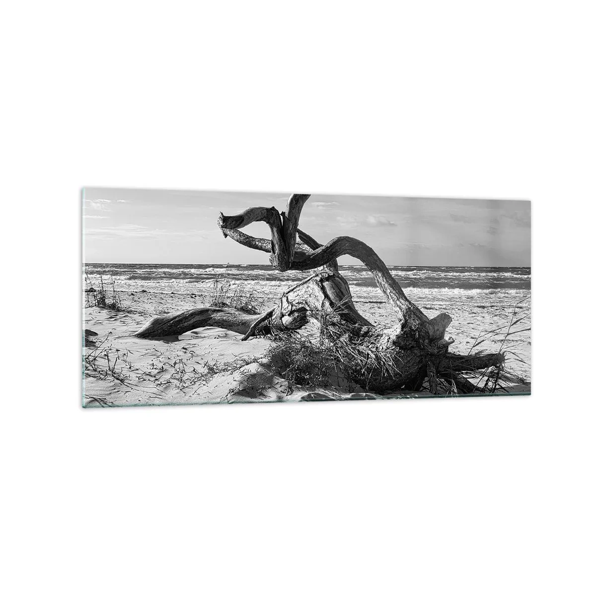 Tablou pe sticlă - Sculptură marină - 120x50 cm