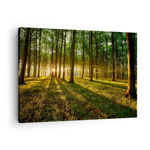 Tablou pe pânză Canvas - Soarele care apune în pădurea de foioase - 70x50cm - Fotografia tuturor primăverilor - Decorațiune modernă pentru perete pentru living și dormitor ARTTOR