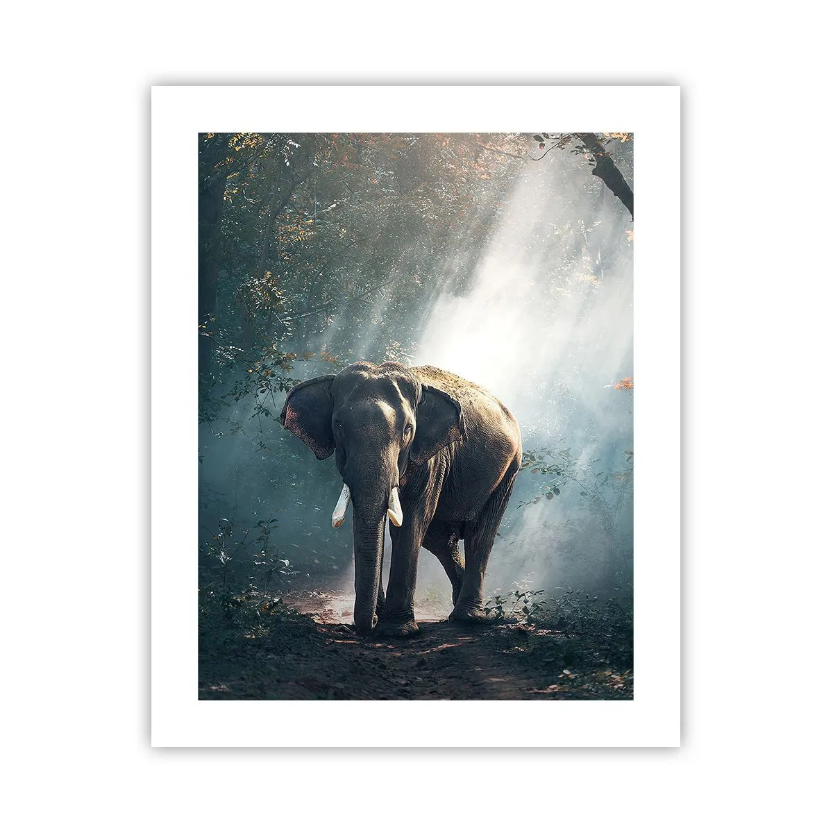 Poster - O plimbare liniștită - 40x50 cm