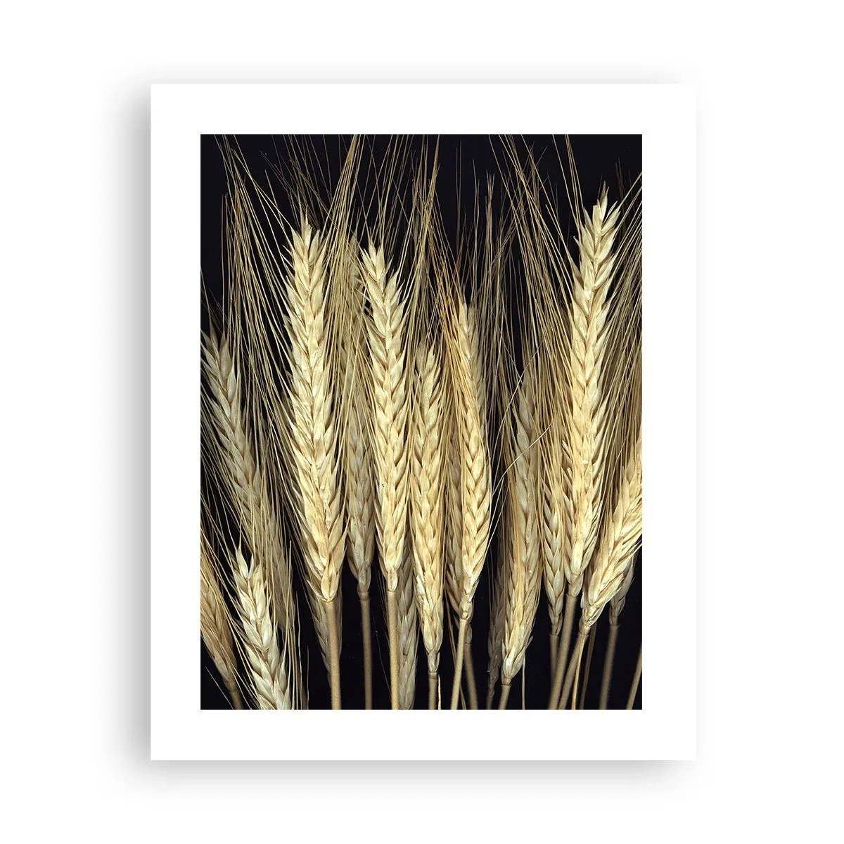 Poster - Magie rustică - 40x50 cm