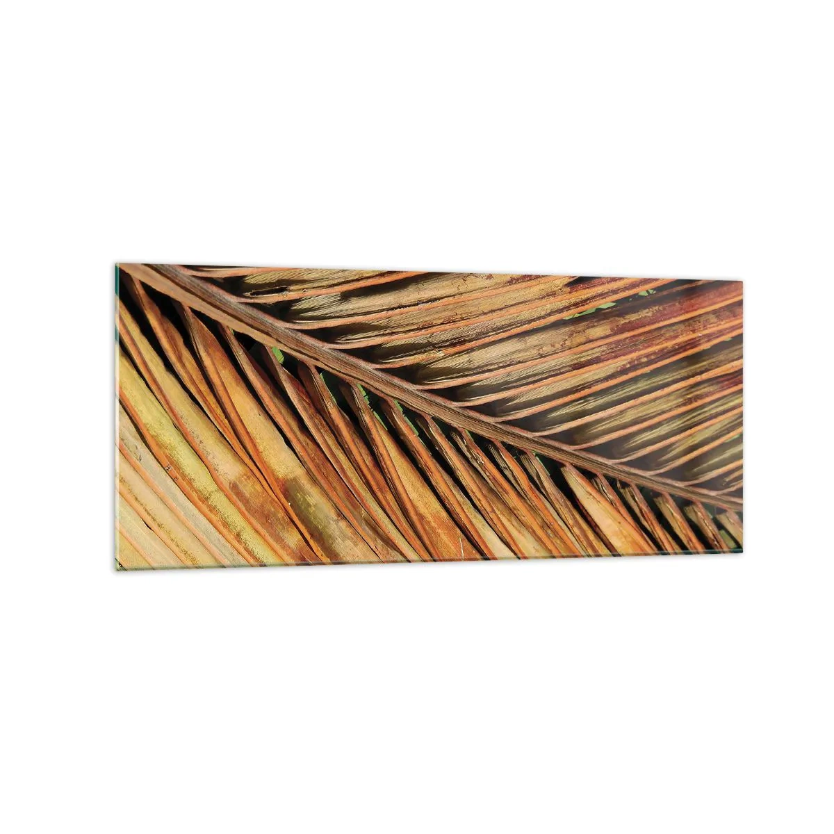 Tablou pe sticlă - Aur de nucă de cocos - 120x50 cm