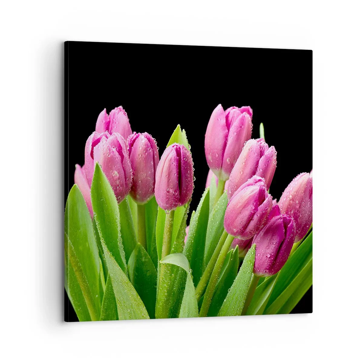 Tablou pe pânză - Bucurie de liliac de primăvară - 60x60 cm