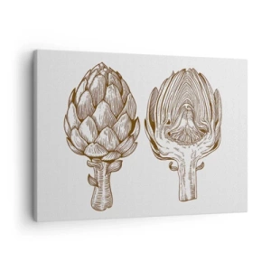 Tablou pe pânză Canvas - Desen artistic vintage al unei anghinare - 70x50cm - Lecție de anatomie - Decorațiune modernă pentru perete pentru living și dormitor ARTTOR