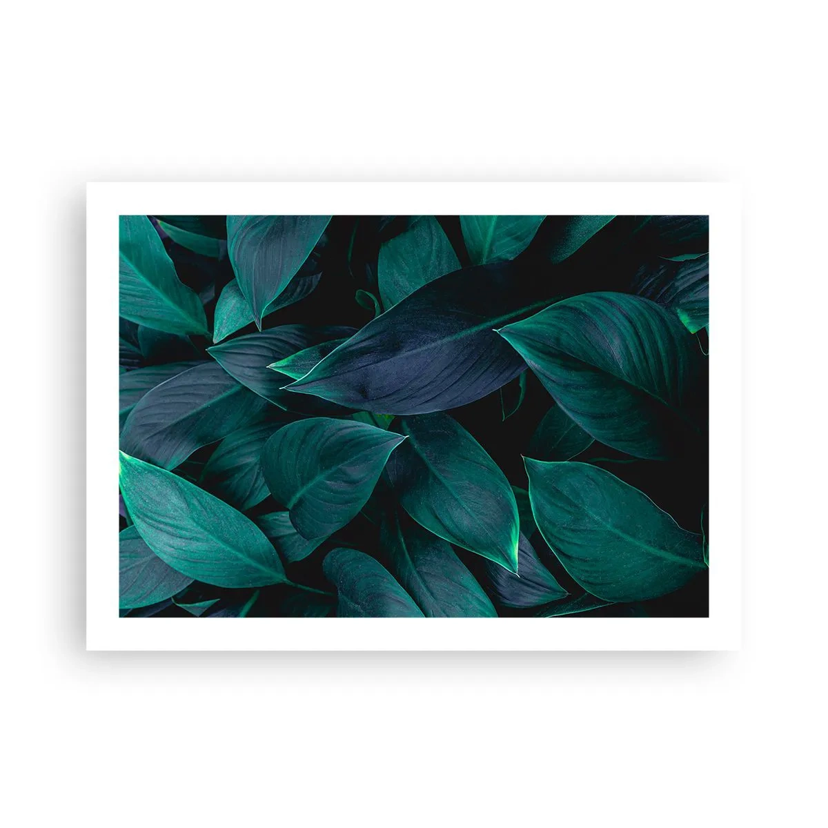 Poster - Verdeața în sine - 70x50 cm