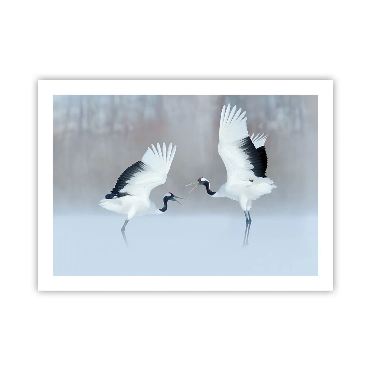 Poster - Dansând în ceață - 70x50 cm