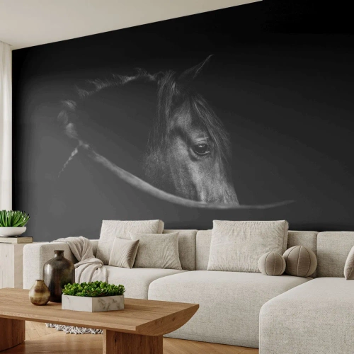 Tapet Premium Canvas - Prințul negru - Cal, Animal, Artistic - 250x175 cm