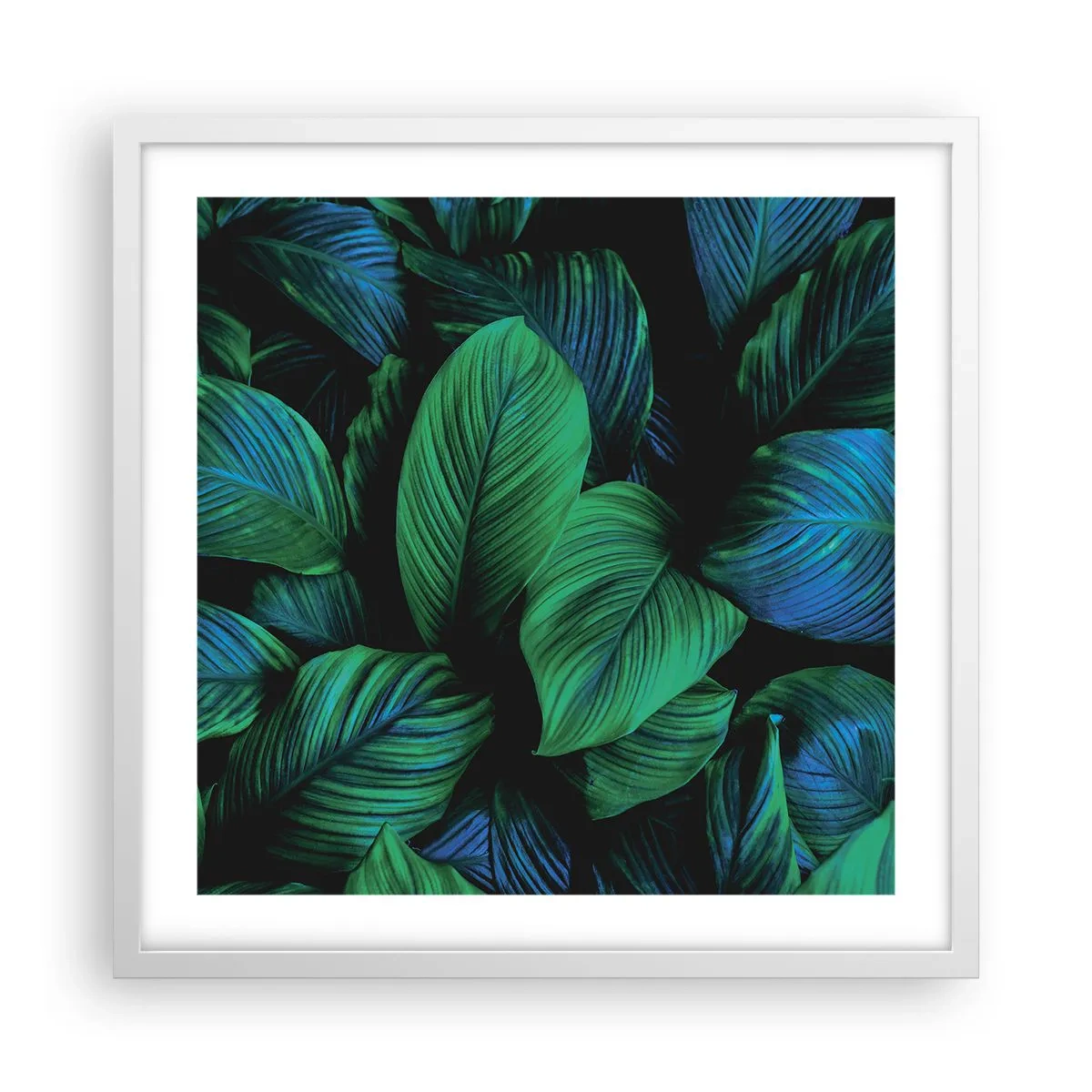 Poster în ramă albă - Traficul verde - 50x50 cm