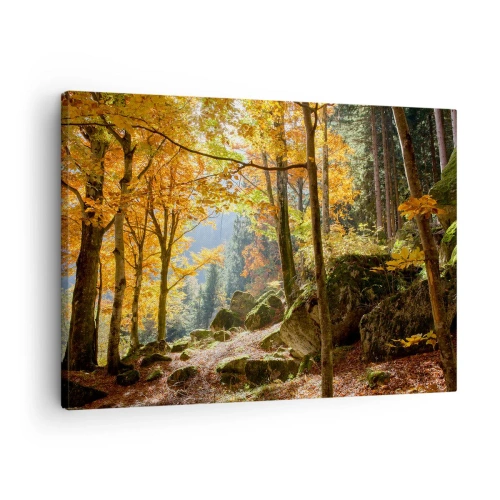Tablou pe pânză Canvas - pădure de toamnă plină de frunze aurii și soare - 70x50cm - Timp de relaxare - Decorațiune modernă pentru perete pentru living și dormitor ARTTOR
