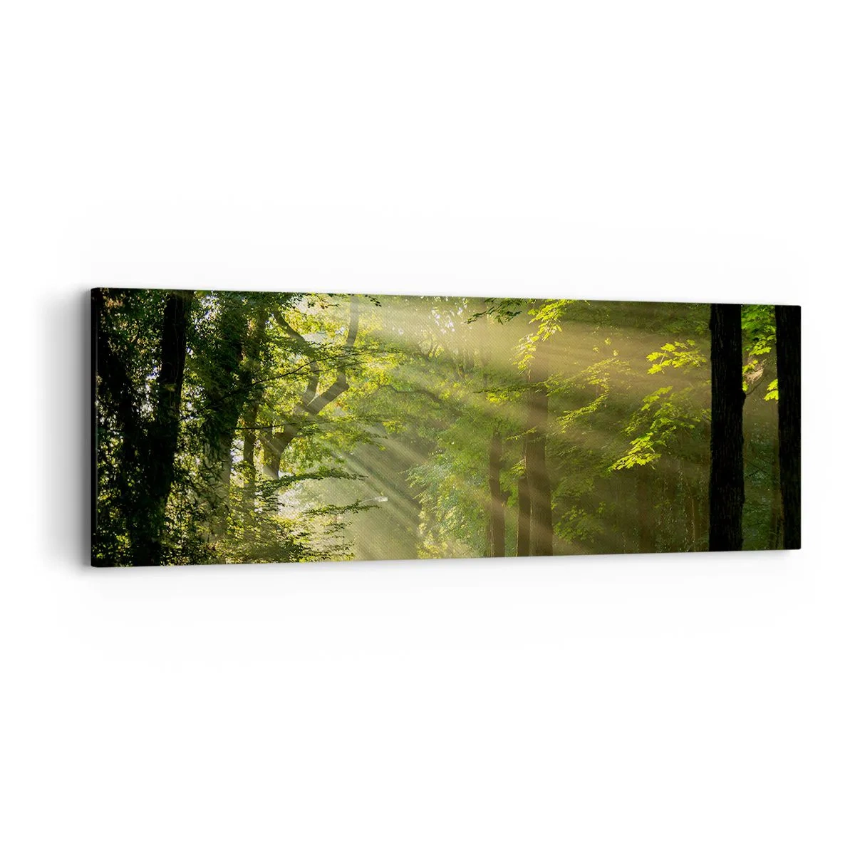 Tablou pe pânză - Moment de pădure - 90x30 cm