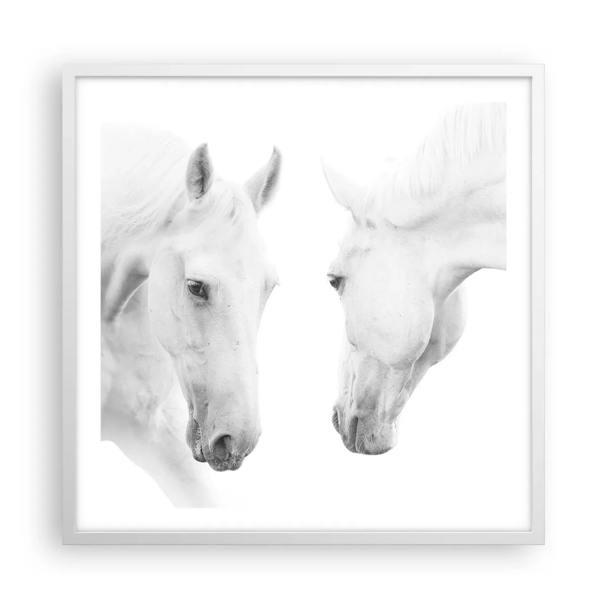 Poster în ramă albă - Este aceasta o prietenie...? - 60x60 cm