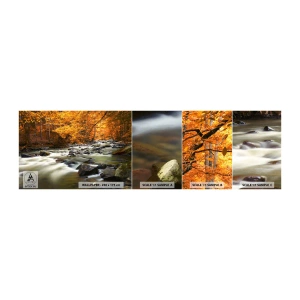 Mostră de Tapet Standard Eco - Un pârâu într-o pădure de aur - Peisaj, pădure, Pârâu de munte - 100x30 cm