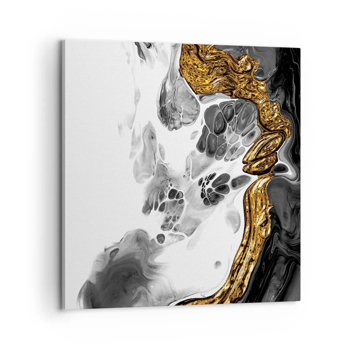 Tablou pe pânză - Compoziție organică - 60x60 cm