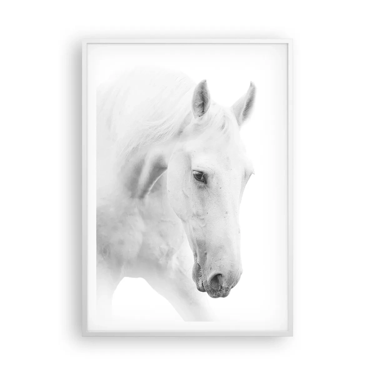 Poster în ramă albă - Este aceasta o prietenie...? - 70x100 cm