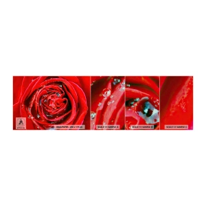 Mostră tapet Premium Sand - În picături de rouă - Flori, Trandafir roșu, Dragoste - 100x30 cm