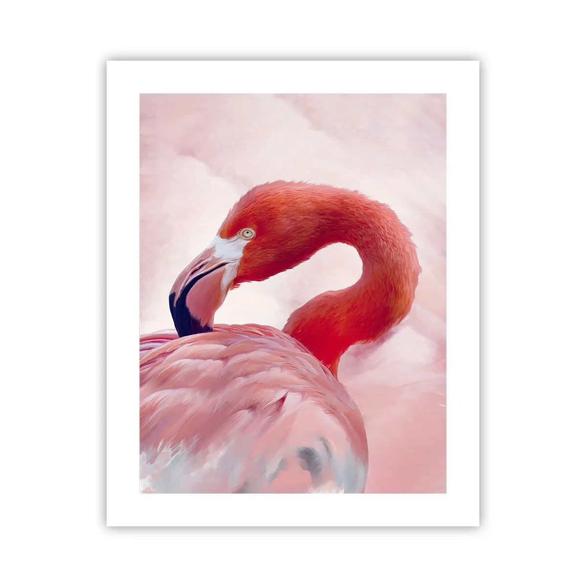 Poster - Frumusețea păsărilor - 40x50 cm