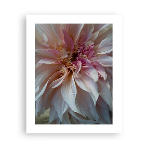 Poster - Prospețime înfloritoare - 40x50 cm