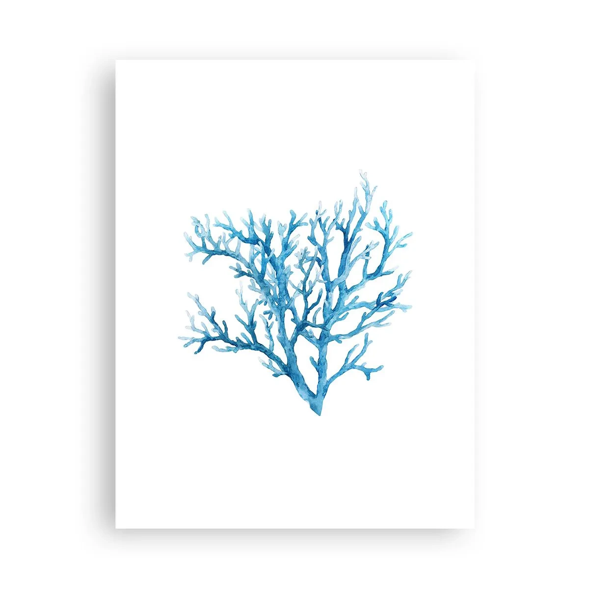 Poster - Filigranul marin - 30x40 cm