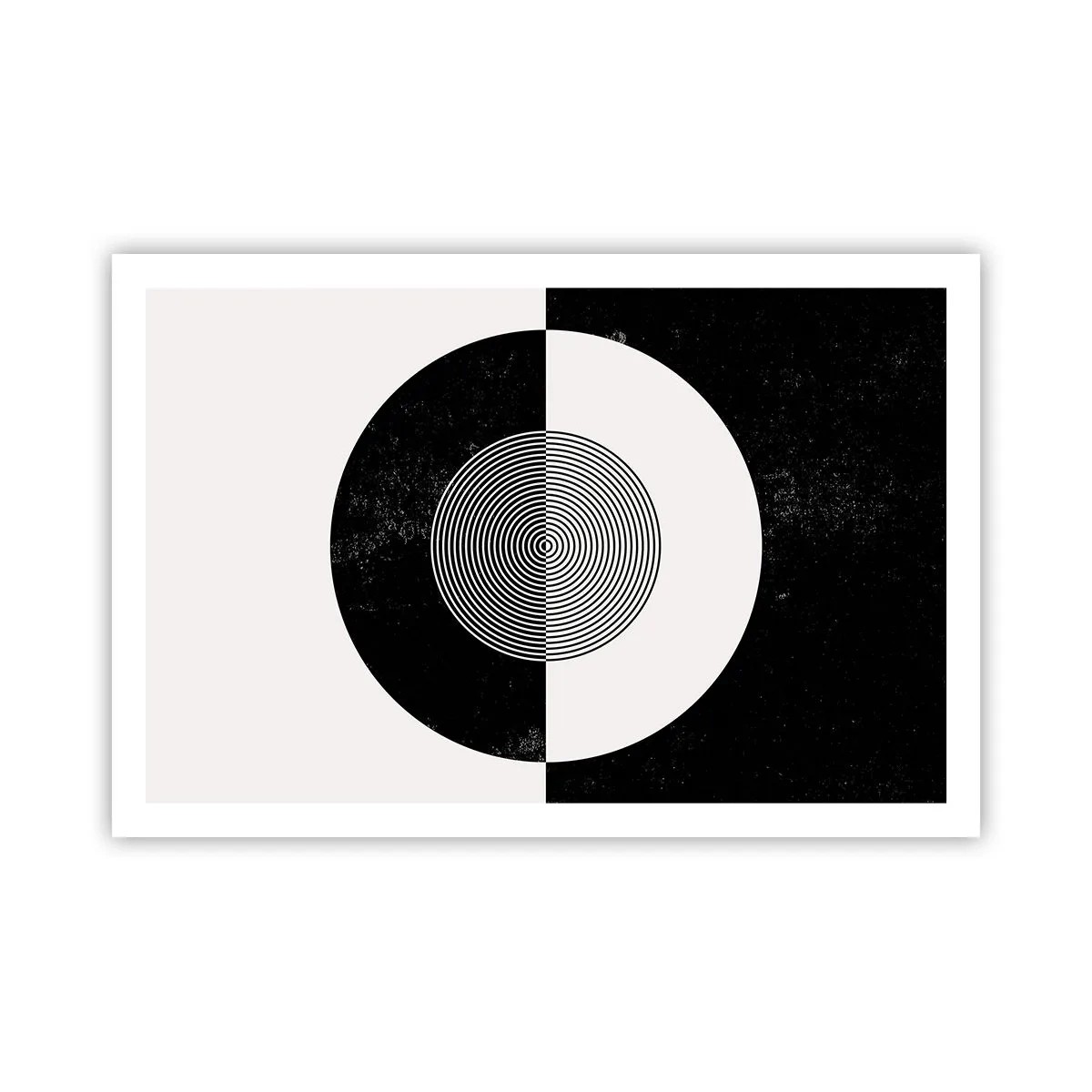 Poster - Armonie în alb și negru - 91x61 cm