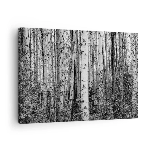 Tablou pe pânză Canvas - Mesteacăni albi și negri în pădure - 70x50cm - Coloane de mesteacăn - Decorațiune modernă pentru perete pentru living și dormitor ARTTOR