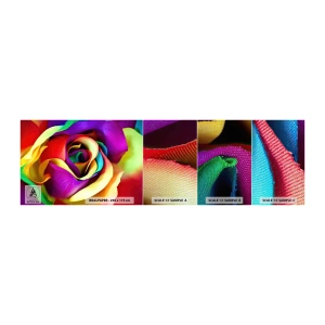 Mostră tapet Premium Canvas - Acest lucru este imposibil - Abstracția, Floare, Trandafir colorat - 100x30 cm