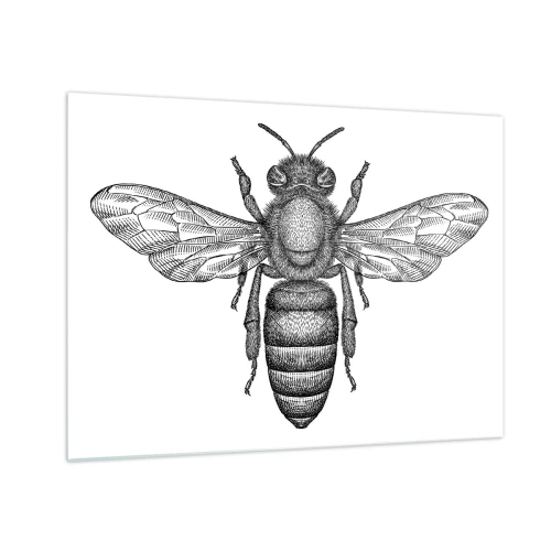 Tablou pe sticlă - Ilustrație detaliată a unei albine retro pe fundal alb - 70x50cm - Portret de insectă - Decorațiune modernă pentru perete pentru living și dormitor ARTTOR