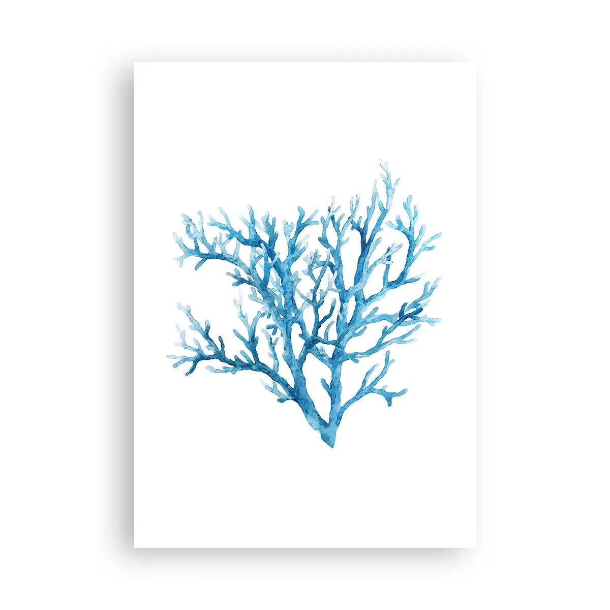 Poster - Filigranul marin - 70x100 cm