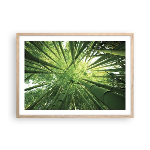 Poster în ramă de stejar deschis - Într-o pădure de bambus - 70x50 cm