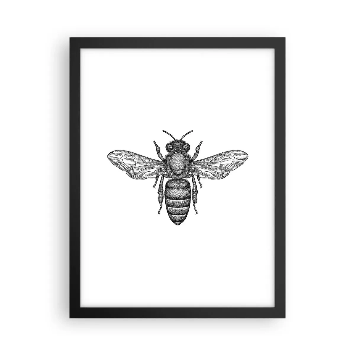 Poster în ramă neagră - Portret de insectă - 30x40 cm