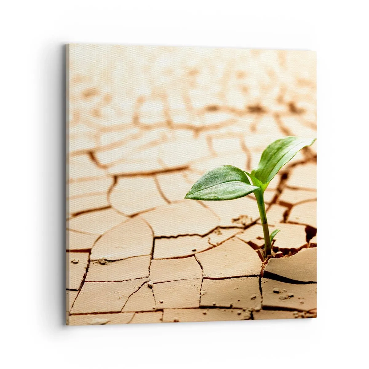 Tablou pe pânză - Forța irepresibilă a vieții - 70x70 cm
