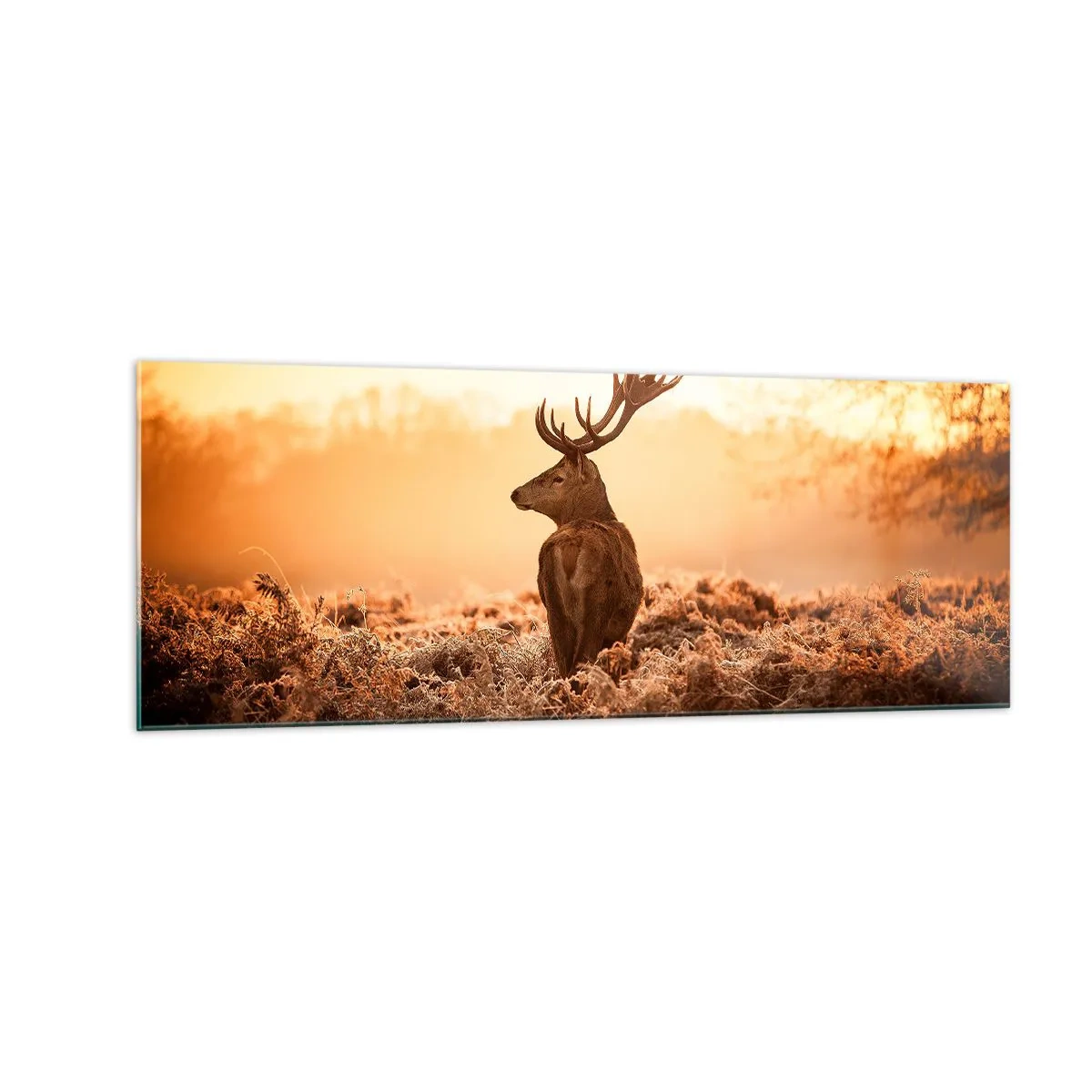 Tablou pe sticlă - Stăpânul conacului - 140x50 cm