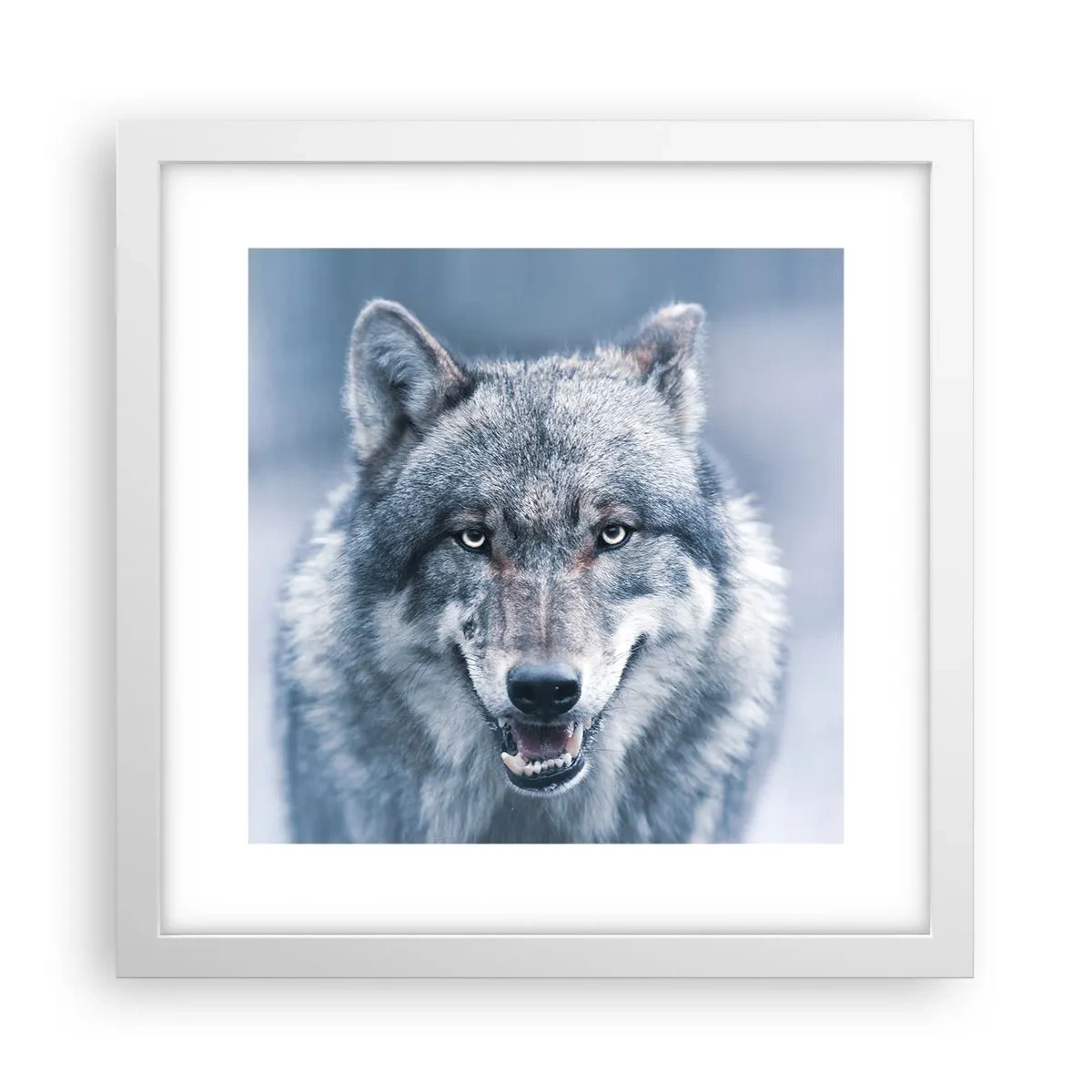 Poster în ramă albă - Accepți provocarea? - 30x30 cm