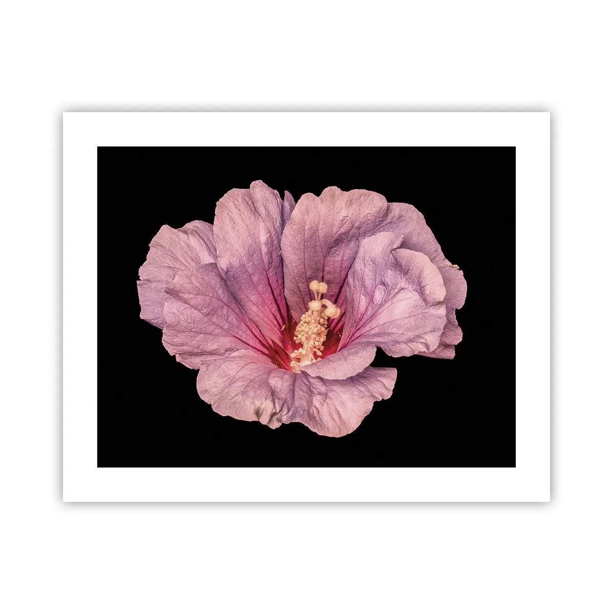 Poster - Direct la inimă - 50x40 cm