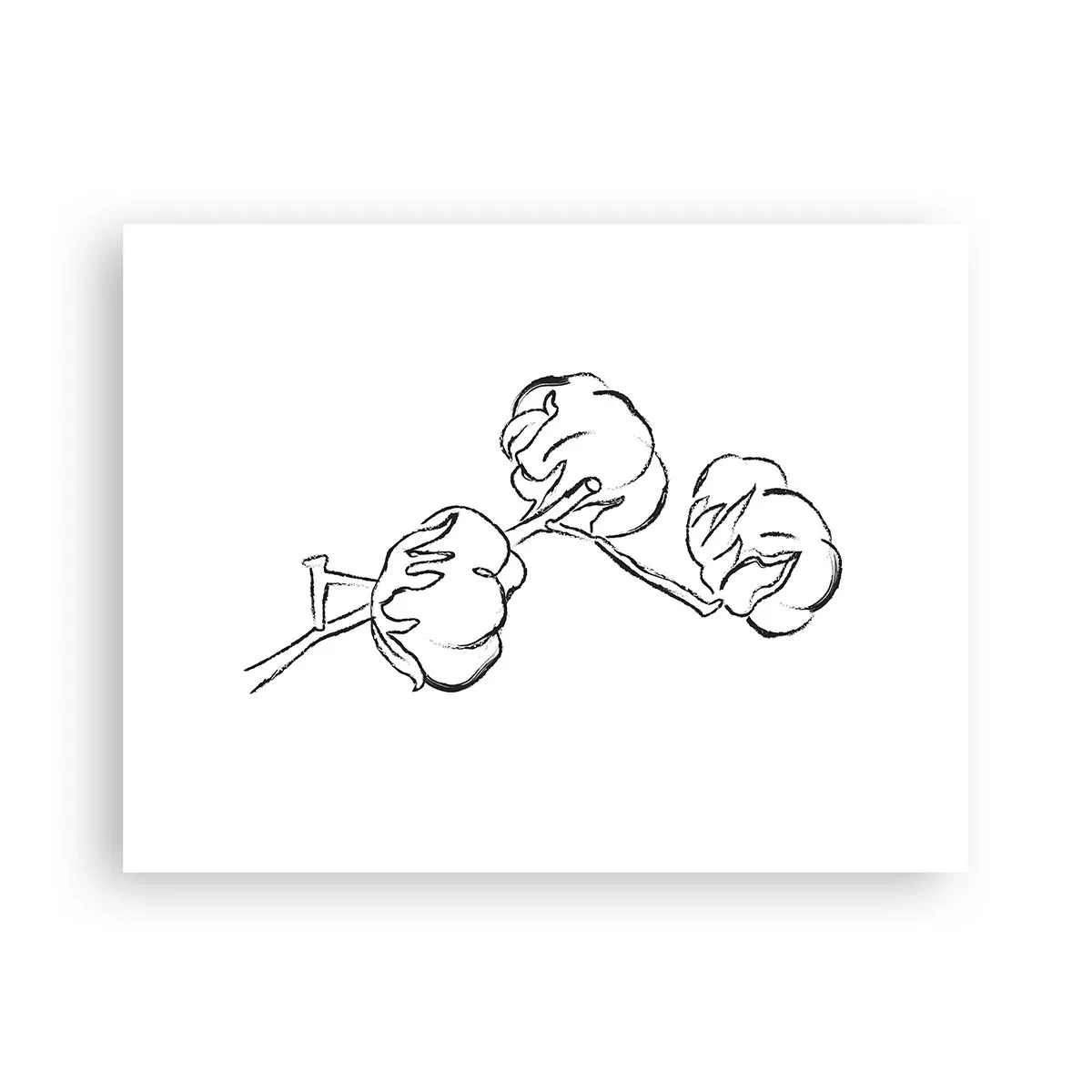 Poster - Pufuri de bumbac - 40x30 cm