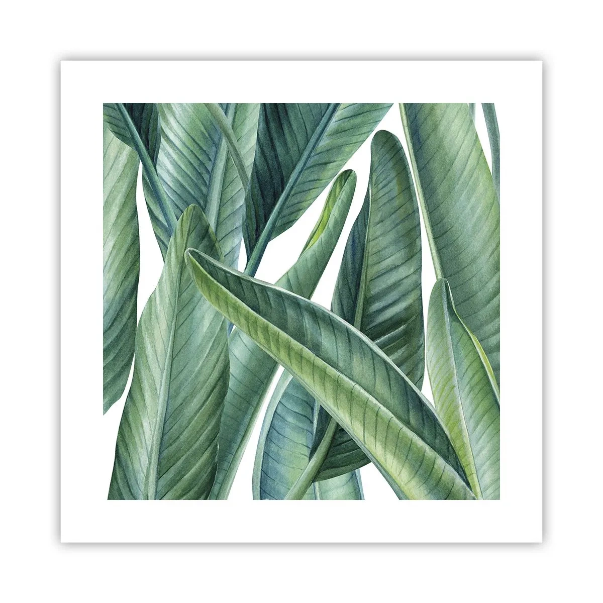 Poster - Verdeața în sine - 40x40 cm