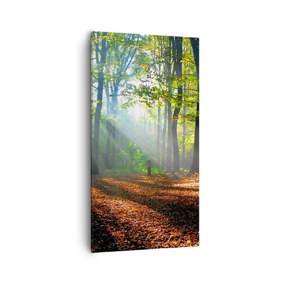 Tablou pe pânză - Străluciri și umbre - 55x100 cm