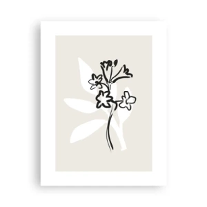 Poster - Schiță pentru ierbar - 30x40 cm